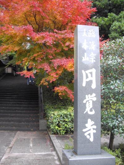 鎌倉山歩き 　天園ハイキングコース