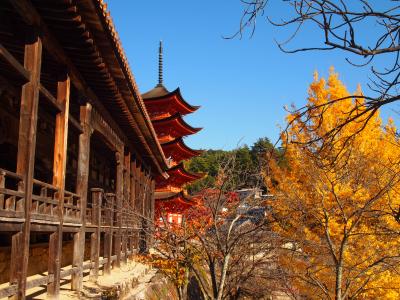 ２０１０　紅葉狩りドライブ　その３　～秋の安芸の宮島・商店街散策編～