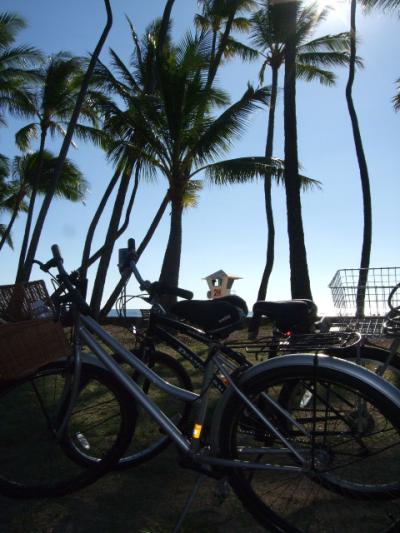 一年一ハワイ 2010