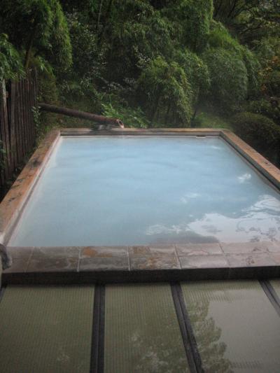 九州の温泉でのんびり～わいた山荘に行ってみました～