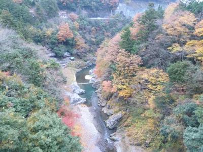 「　落葉はじまる　御岳　～　鳩ノ巣渓谷　」ウォーク（2010/11月）