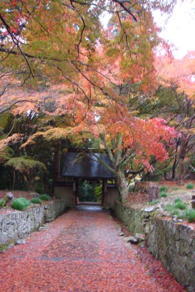 紅葉を訪ねて⑤両子寺