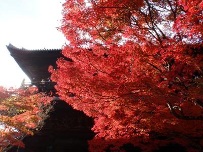 ◇[京都]　切り取り京都―紅葉―