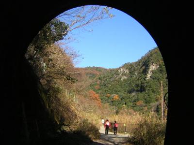 晩秋の武田尾廃線跡