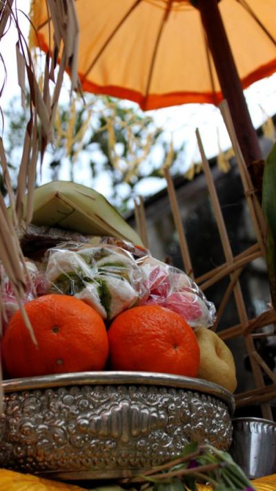 バリ2010(全5日間)2