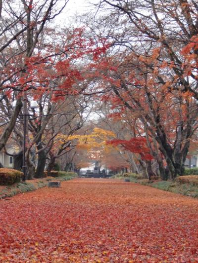 潅木茂れし不毛で広漠たる原野が民に恵みをもたらす豊饒なる農耕地へと変貌を遂げせりし開拓地 ～発展と安定～ 下野國那須野