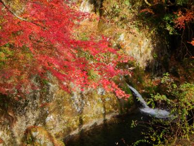 2010紅葉　日帰り奥久慈