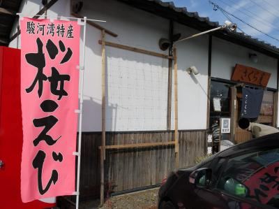 桜えび「さくら屋」＆修善寺「菊屋」と　【お休みのお知らせ】 m（_ _)m