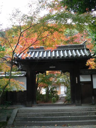 日本の旅　関西を歩く　京都・八幡の善法律寺、松花堂周辺の紅葉