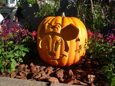 東京ディズニーリゾート　２０１０