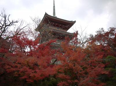 京都（東山・祇園）　2010