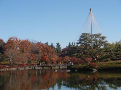 2010 晩秋　国営昭和記念公園