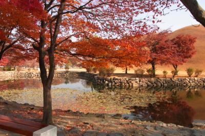 韓国へ　初めての慶州編