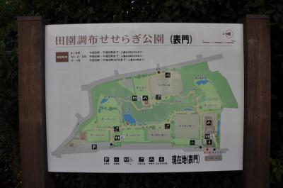 2010年09月、田園調布せせらぎ公園