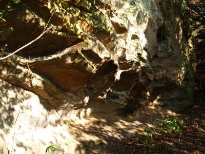 鎌倉天園峠から瑞泉寺裏まで