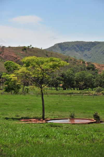 世界一周出張　ブラジルベロホリゾンチでの牧場体験　①