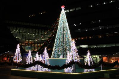 【クリスマス・イルミネーション】　International Christmas Market 「TWIN21」
