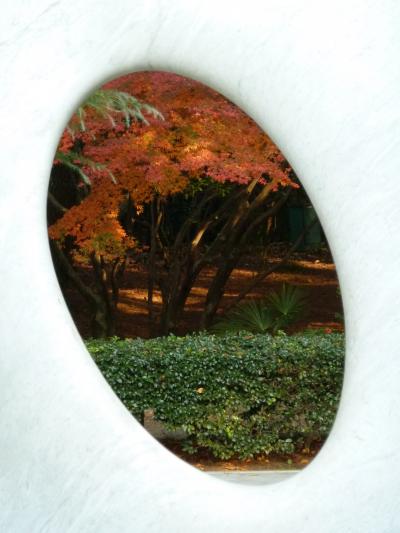 「　紅葉をたずねて　都庭園美術館　」散策