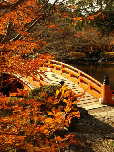 2010年京都　ちょっと遅めの紅葉？の旅　ＰＡＲＴ１（山科～洛南）