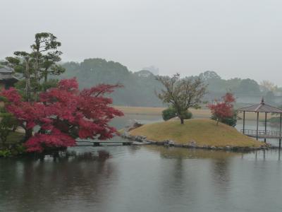 晩秋の後楽園（雨の日編）