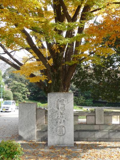 晩秋の後楽園（晴れの日編）