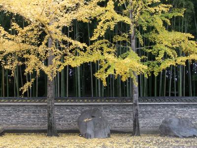 2010年紅葉の京都へ３（北山・二条城）