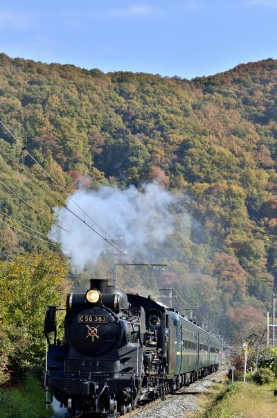 ＳＬと紅葉の景色を求めて、秩父鉄道乗り鉄の旅！