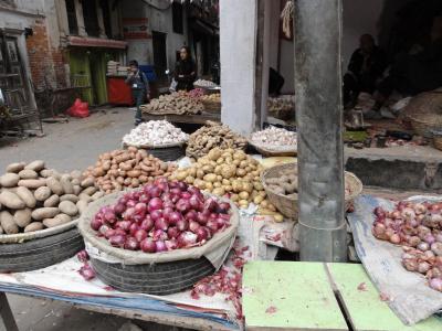 ネパール（の一部）見聞録①