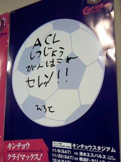 秋桜満開!(セレッソ大阪6-2ジュビロ磐田)