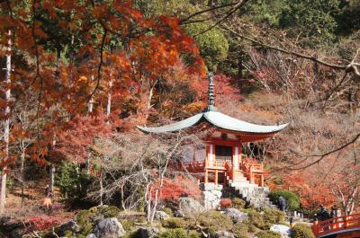 晩秋の京都に紅葉を訪ねて～醍醐寺・清水寺～