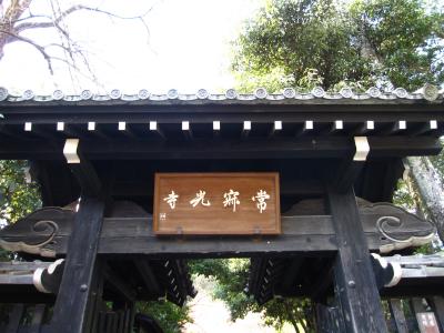 2010京都の紅葉　②常寂光寺