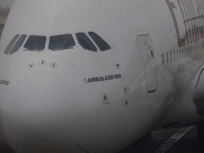 ＵＡＥ・フランス・イギリス３カ国１人旅・・・⑨◆エミレーツ航空◆エアバスＡ３８０にてパリ→ドバイ帰国編