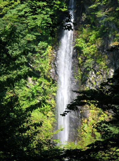 塩原渓谷歩道　回顧（みかえり）コース　☆ 森林浴をして留春の滝へ