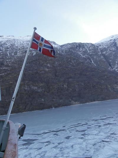 初冬のソグネフィヨルド(ベルゲン発着日帰り)