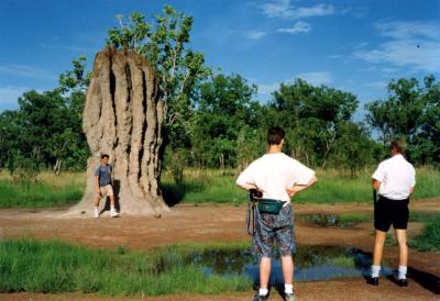 KAKADU NATIONAL PARK （カカドゥ国立公園）で見た巨大蟻塚と生クロコダイル