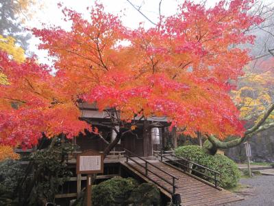 滋賀紅葉めぐり 比叡山編