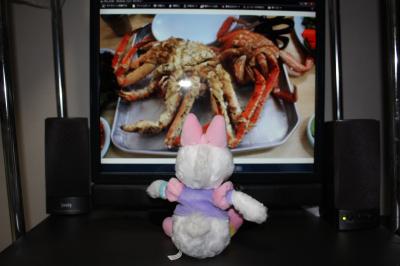 ガー子、ちょっとゆっくり弾丸ソウル 1日目