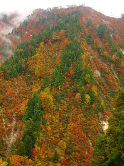 白神山地05　釣瓶落峠　青森‐秋田の県境越え　☆錦秋の紅葉美/際立って