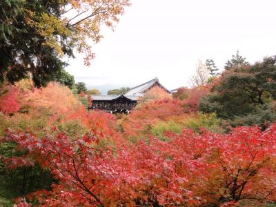 後悔残る・・・ちょっと早い秋の京都♪1人旅