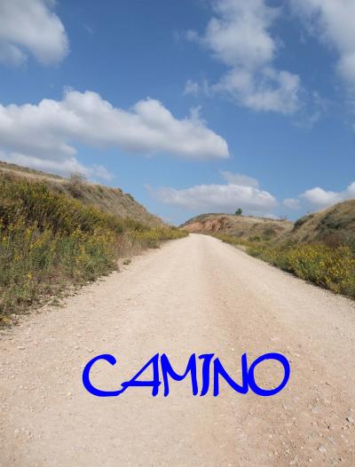 サンティアゴ巡礼の道をちょっとだけ~Los Arcos・Viana~