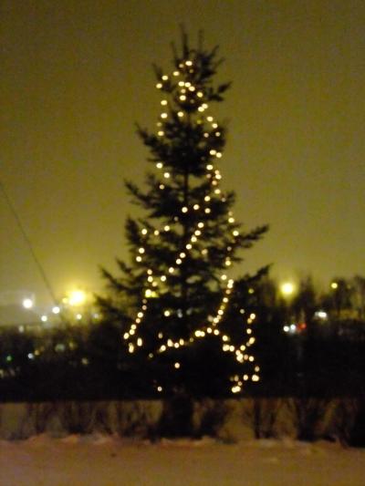 オーロラみれるかなー