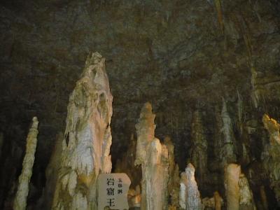 おきなわワールドに行きました