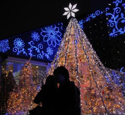 小さな旅　新宿イルミネーション　Shinjyuku Illumination/A Merry Christmas!　