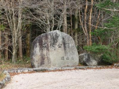 初冬の森林公園