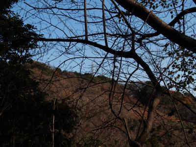 鎌倉二階堂杉ノ川上流から天園ハイキングコース