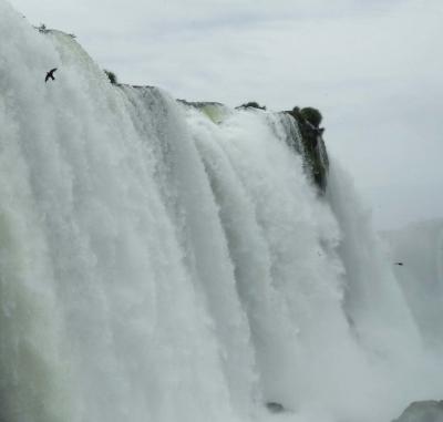 ブラジル５　イグアスの滝１１（展望台）