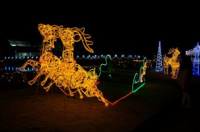 京都植物園 「クリスマス・イルミネーション」