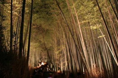 京都嵐山花灯路2010