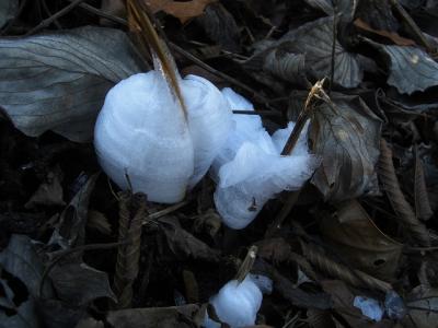 師走の陽だまりハイク　高取山～仏果山