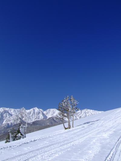 ～山歩き～　白馬岩岳　かんじきハイク